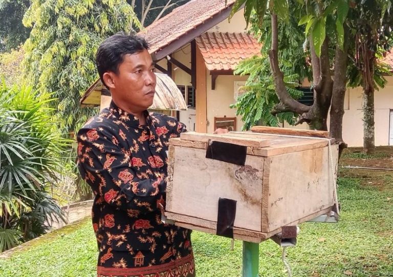 20-250829070248berita14181_Seorang_guru_SMA_Negeri_1_Bandar_melakukan_Budidaya_lebah_madu