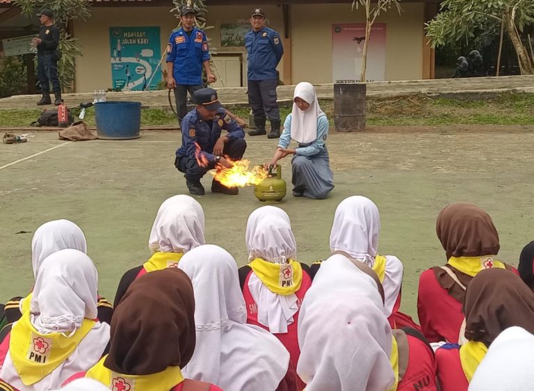 WhatsApp Image 2025-10-11 at 05.46